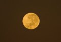 autumn moon 1